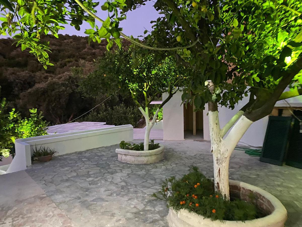 Villa Nouli Sarakiniko  エクステリア 写真
